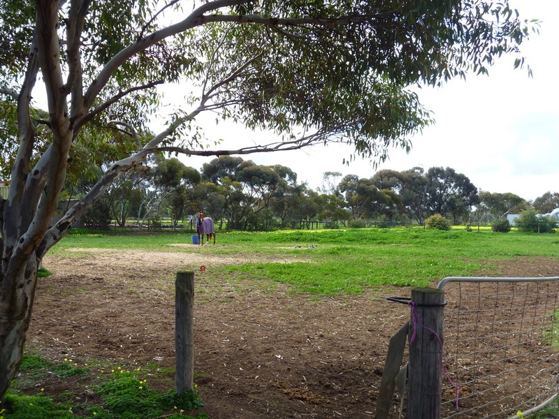 69 Buckland Park Road, TWO WELLS, 5501, South Australia Two Wells