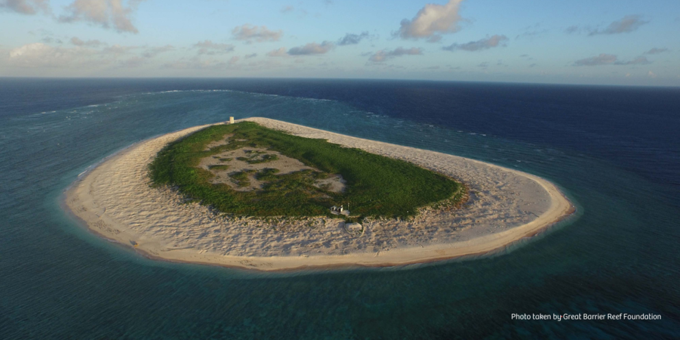 Raine & Horne Foundation donates $100,000 to support endangered turtles and  birds on Raine Island on the Great Barrier Reef