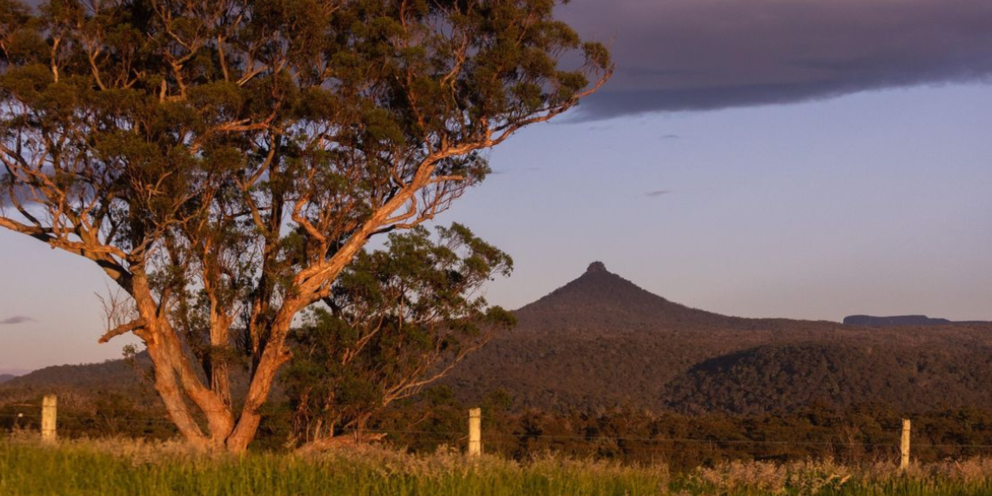 Rural property expected to benefit from rebound in Australian agriculture