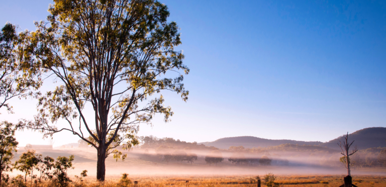 Buyers brave the cold to snap up hot winter properties