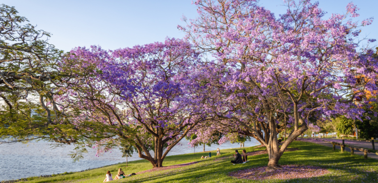 Beat the spring market bloom by listing early to win