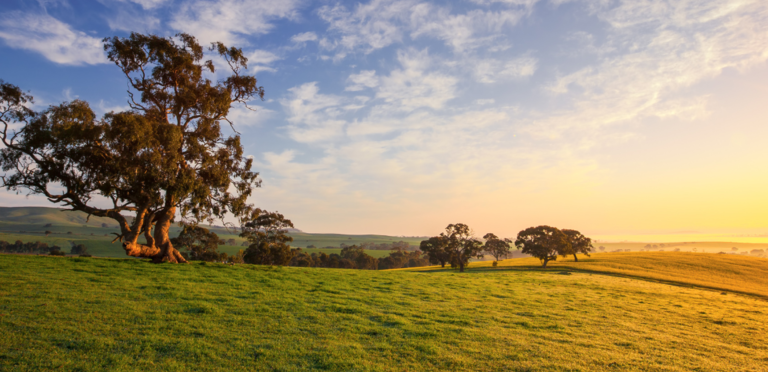 Strong agri exports and global demand poised to underpin rural property values