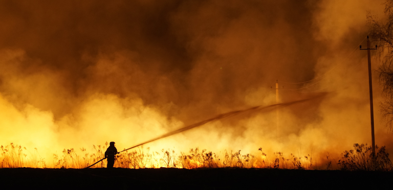 What are some steps I can take to get my property ready for bushfire season?
