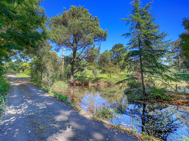 62 Hayman Road, BUNDANOON, 2578, New South Wales Raine & Horne