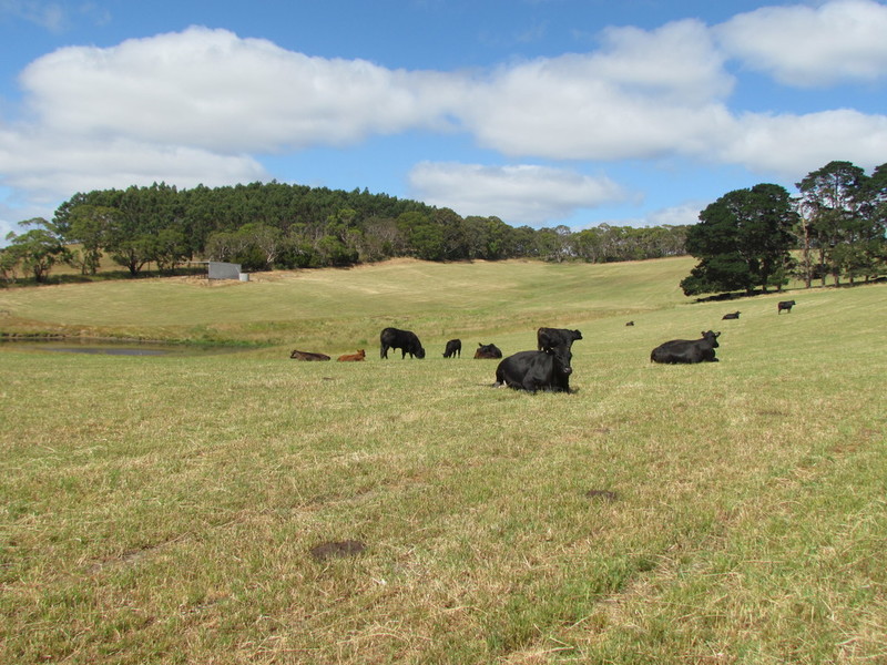 86 Vivian Road, Meadows, 5201, South Australia Raine & Horne Meadows