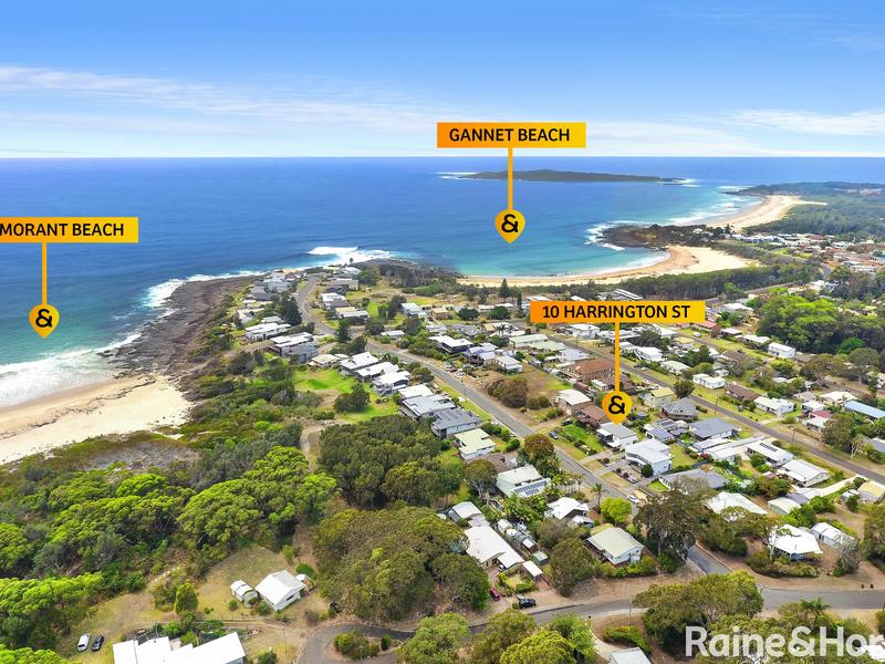 10 Harrington Crescent, Bawley Point, 2539, New South Wales Raine