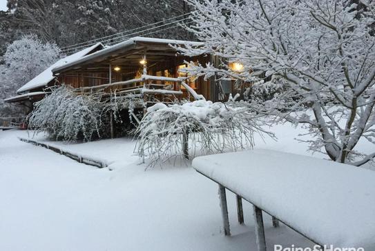 Search for Real Estate