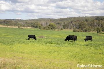 Recently Listed Lot 2, 2060 Brayton Road, Big Hill, 2579, New South Wales