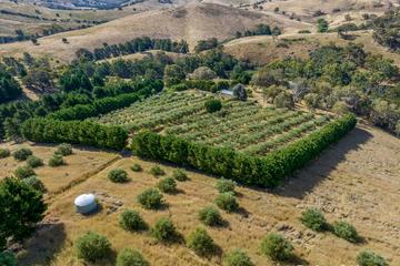 Recently Listed 1302 Fish River Road Narrawa Via, Crookwell, 2583, New South Wales