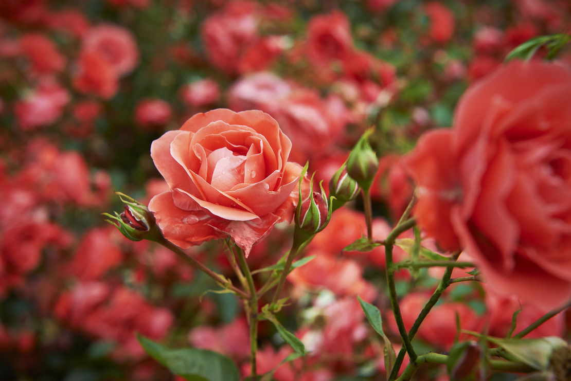 blog-banner
